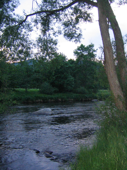 img_2552.jpg